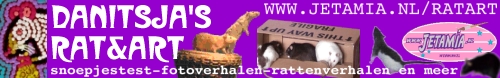 klik hier om naar Danitsja's Rattensite te gaan