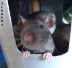What's up!