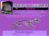 klik hier om algemene informatie over ratten te lezen