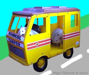Rattentaxi!!! Je mag meerijden in ruil voor snoep!