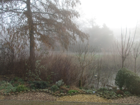 februari tuin