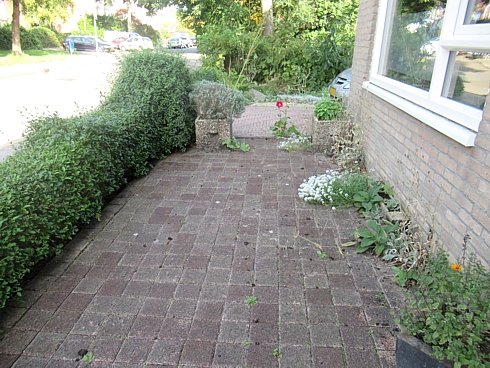 voortuin