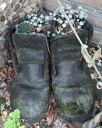 schoenen als bloempot